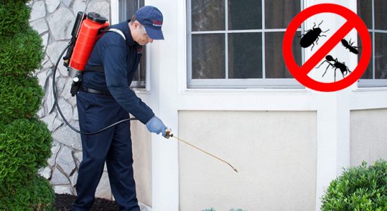 Mucur Fare İlaçlama böcek ilaçlama ve haşere kontrolü — ilaclama-tr.com